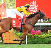 Clint<br>Photo by Singapore Turf Club